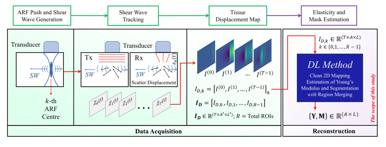 SWE procedure: ARF push and shear wave generation, shear wave tracking with a transducer, tissue displacement maps stacked over time, and a deep learning method producing the elasticity map and mask.